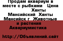 Продам аквариум в месте с рыбками › Цена ­ 2 500 - Ханты-Мансийский, Ханты-Мансийск г. Животные и растения » Аквариумистика   